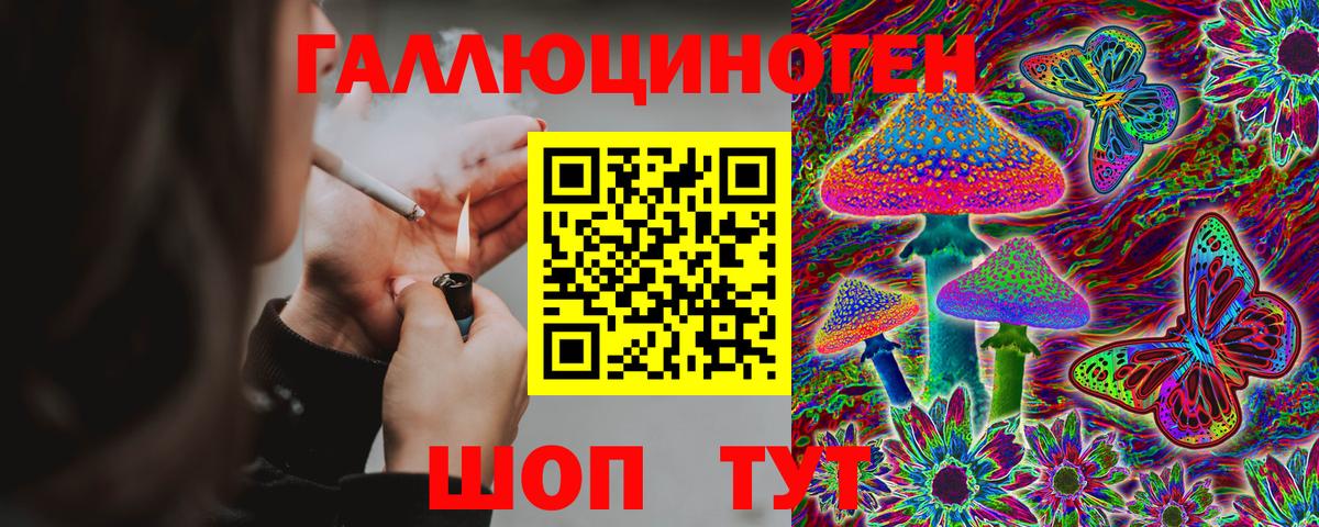 Галлюциногенные грибы Psilocybe  Вход с VPN  Алапаевск  закладка  Псилоцибиновые грибы мухоморы 