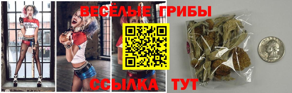 Галлюциногенные грибы мицелий Алапаевск